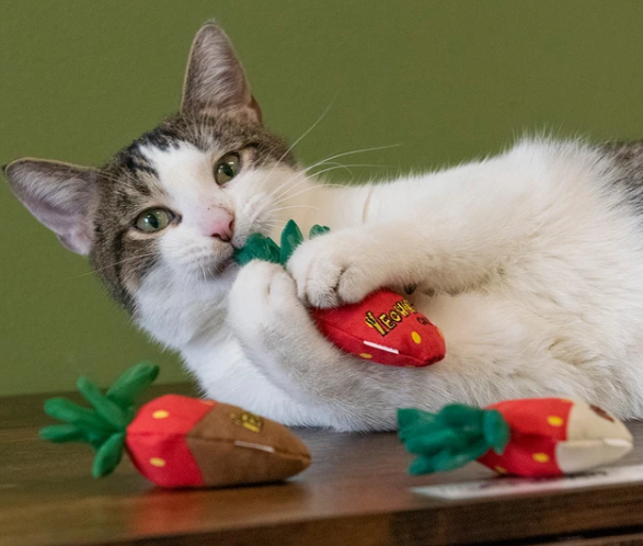 Yeowww! Strawberry Cat Toy with catnip