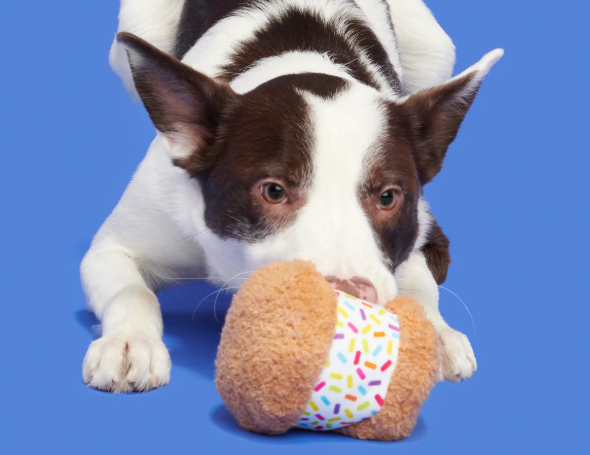 Funfetchi Sniffwich Plush Dog Toy