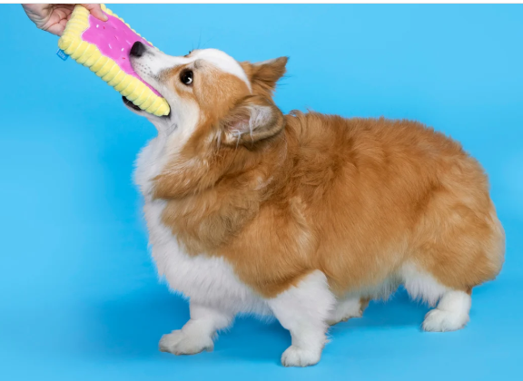 Toaster Plush Dog Toy
