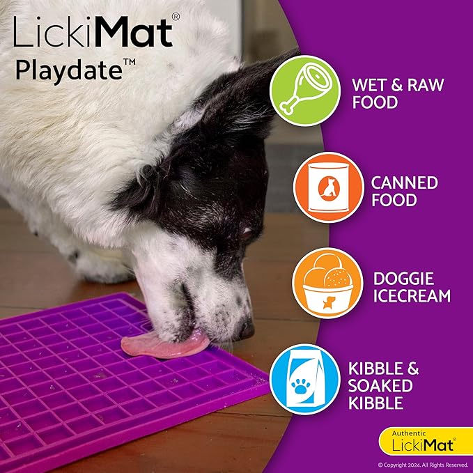 LickiMat Playdate Slow Feeder for Dogs