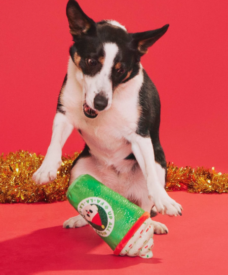 BARK Up All Night Latte Dog Toy
