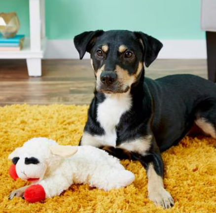 Multipet Lamb Chop Plush Dog Toy 10"