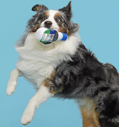 BARK Ranch Plush Dog Toy