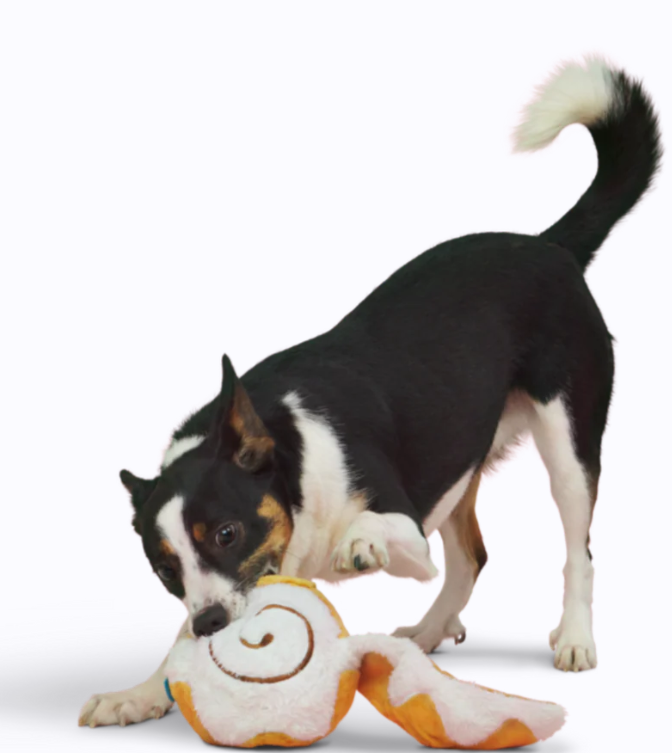BARK Cinnamon Growl Plush Dog Toy