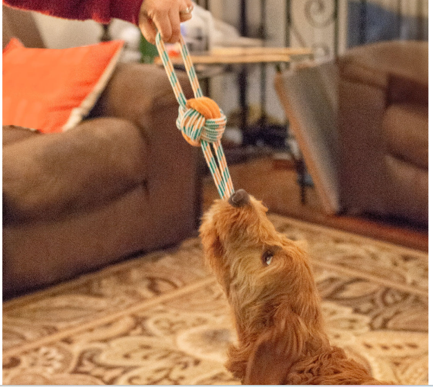 8 Knot Ball Rope Dog Toy Orange / Teal 11.5"