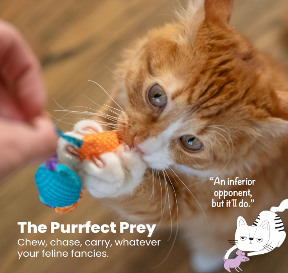 Catnip Chew Mice Dental Health Cat Toy 2pc
