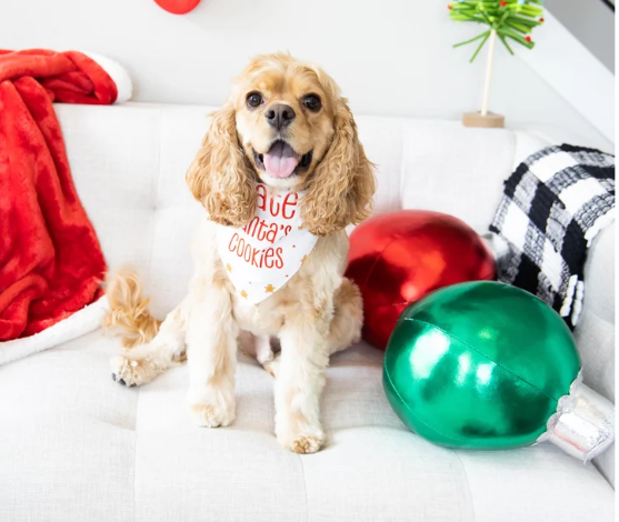 Holiday I Ate Santa's Cookies" Bandana