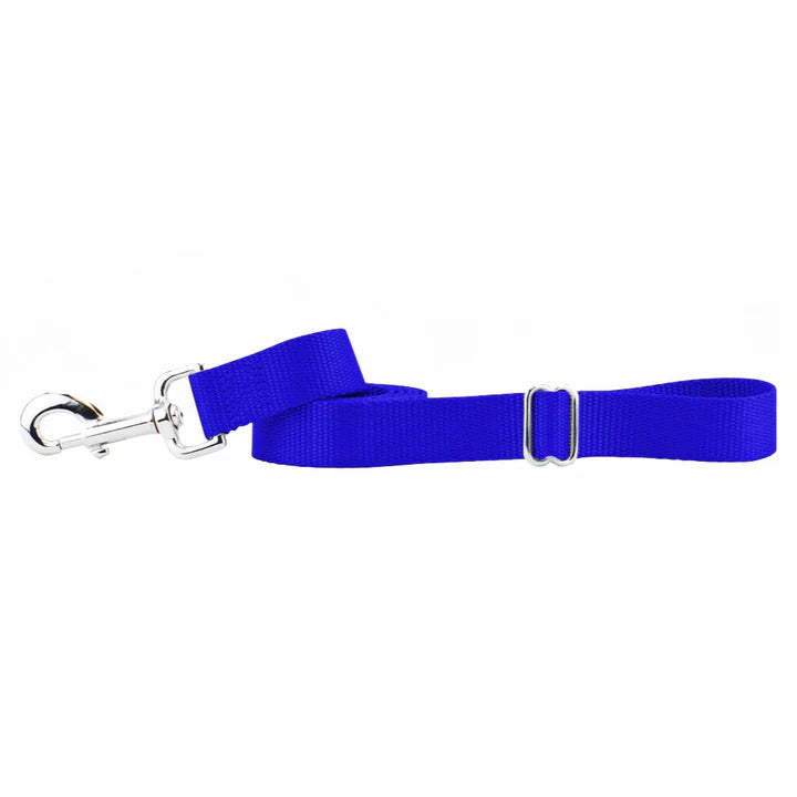 6 Inch Nylon Dog Leash 5 Solid Colors