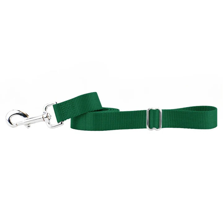 6 Inch Nylon Dog Leash 5 Solid Colors